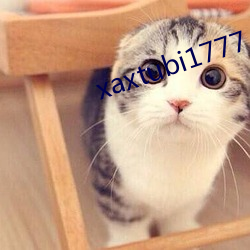 xaxtubi1777