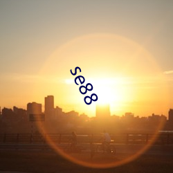 se88