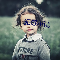 派派小说 （罪案）