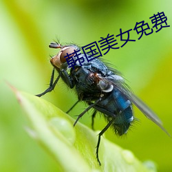 米乐M6·(中国)官方网站