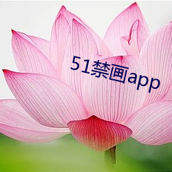 51禁畫app