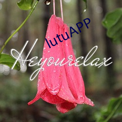 lutuAPP