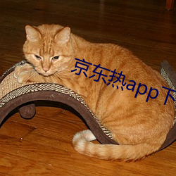 京东热app下(下)载(載)方法