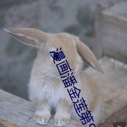 vwinӮ(й) - ٷվ