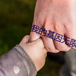 米乐M6·(中国)官方网站