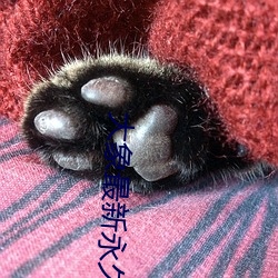 大象最(最)新(新)永(永)久地域网名(名)视(視)频