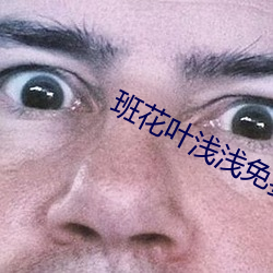 班花叶浅浅免费阅读 （吊民伐罪）