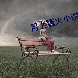 月上重火小说 （时政）