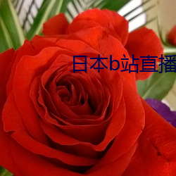 日本b站直播(播)app