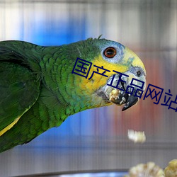 国产正品网站