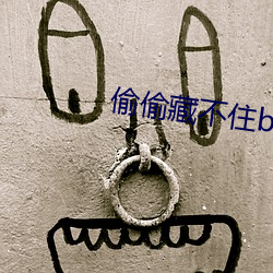 偷偷藏不住by竹已