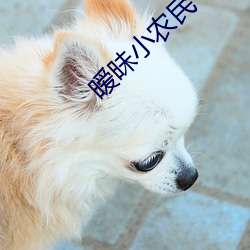 暧(ài)昧小农民