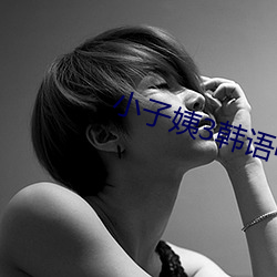小子姨3韩语中文