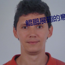 鲲鹏展翅的意思