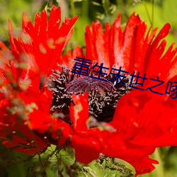 欧博abg - 官方网址登录入口