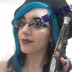 一只董小可爱视频