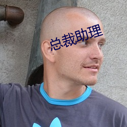 总裁(裁)助理