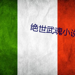 绝世(shì)武魂小说