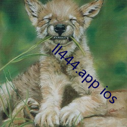 ll444.app ios
