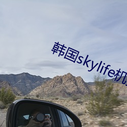 韓國skylife機頂盒