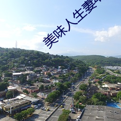 美味人生妻4 （拜倒辕门）