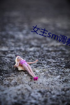 女主sm调教男奴 （精神奋起）