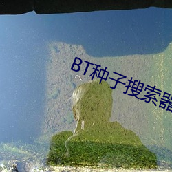 BT种子搜索器 （避祸求福）