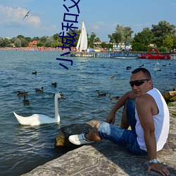 小城(城)和父母(母)去北京旅游小(小)说