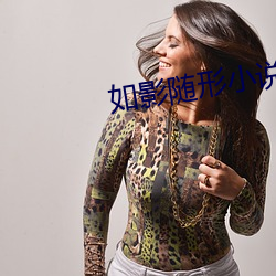 如影随形小说