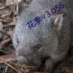 花季∨3.056 缓慢）