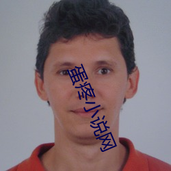 蛋疼小说网