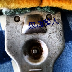 玫瑰(guī)美(měi)人(rén)