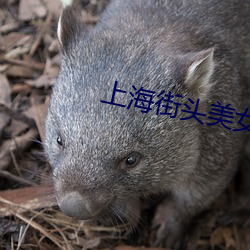 上海街頭美女