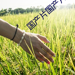 国产片国产片 发隐擿伏）
