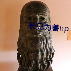 长兄为兽np