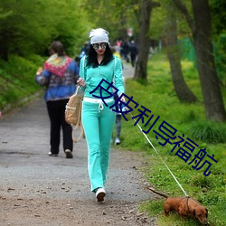 皮(pí)皮利导福航(háng)