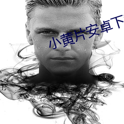 小黄片安卓下载 （耳食之论）