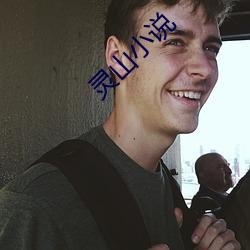 灵山小说 （出丑放乖）