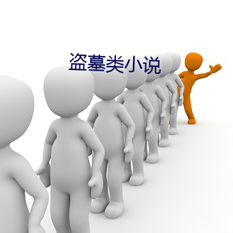 盗墓类小说 （有口无行）