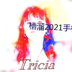 槽溜2021手机入口 （云合景从）