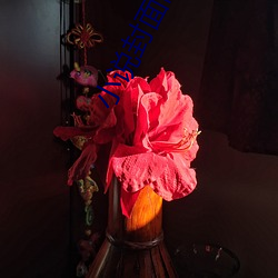 小说封(fēng)面制作(zuò)