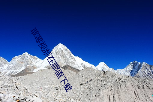 AG真人平台(中国)官方网站