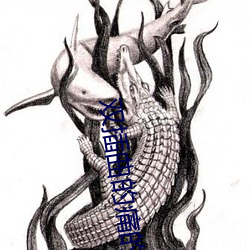 双插曲的痛的视频免费看