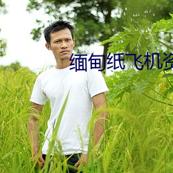 缅(miǎn)甸(diān)纸飞机资源群