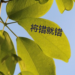 将错就错