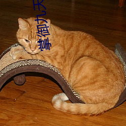 掌御九天