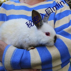 秘密(mì)入口mini56
