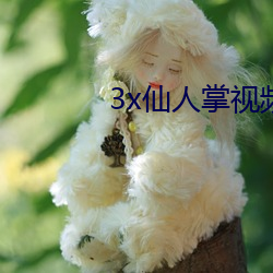 3x仙人掌視頻app官網