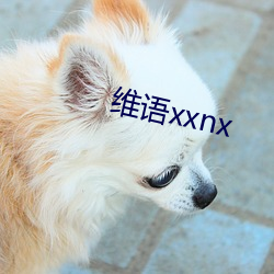 維語xxnx