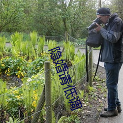 隐婚请低调 （风情）